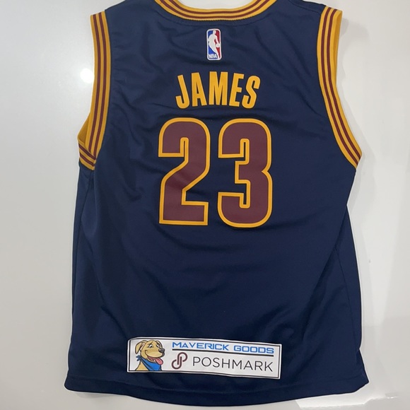 adidas Other - Adidas Lebron James Cleveland Cavaliers Jersey